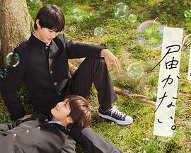 谁杀了小红帽真凶海报剧照